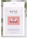 Sachet Armoire