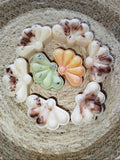 Coquillage Fondant
