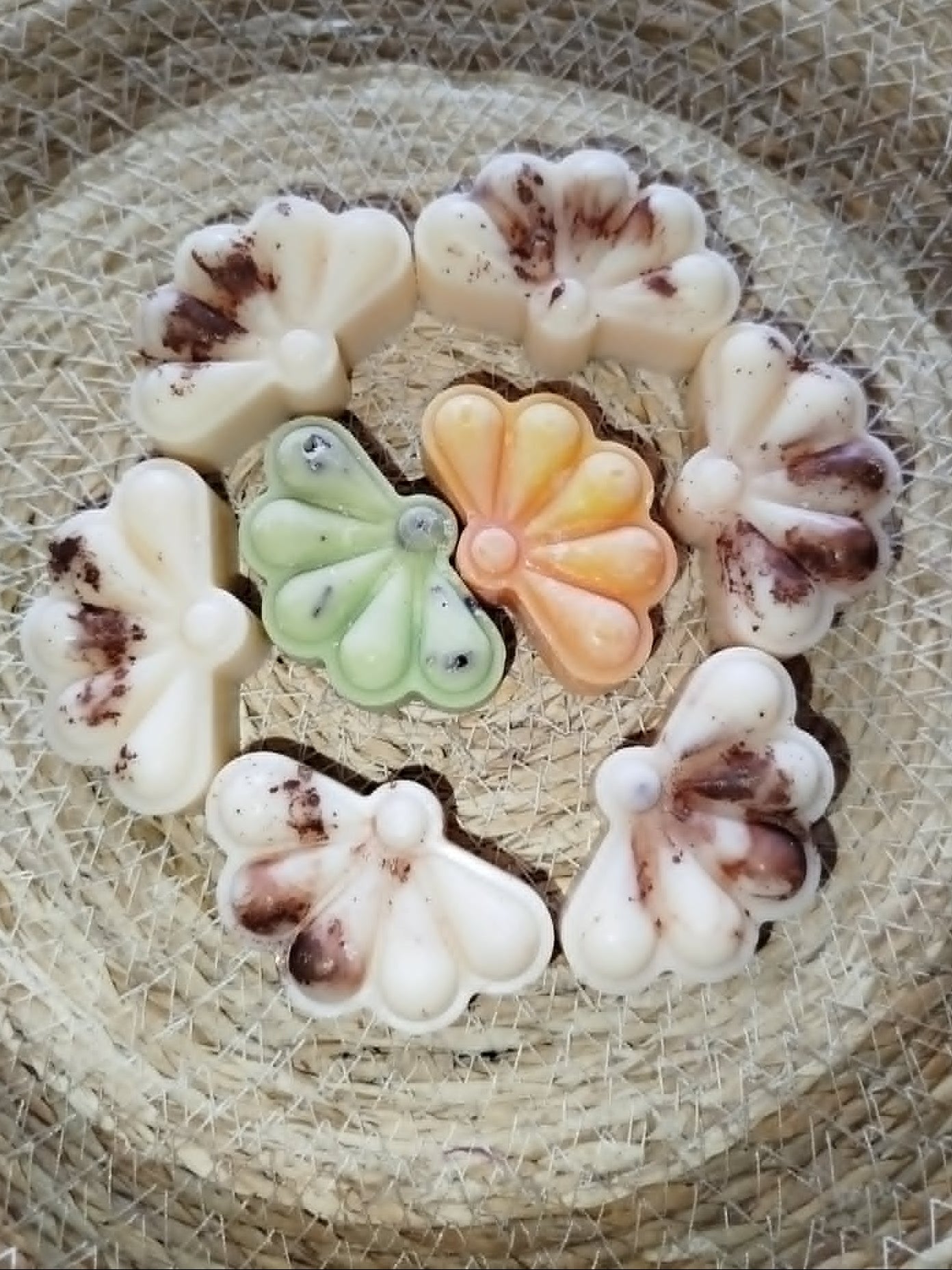 Coquillage Fondant