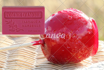 Savon solide fimé