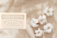 Savon solides Fîmes