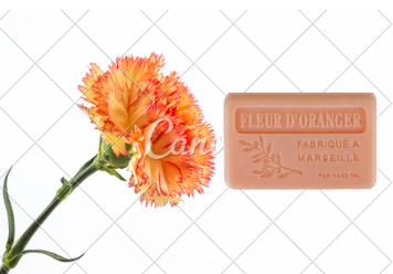 Savon solide fimé